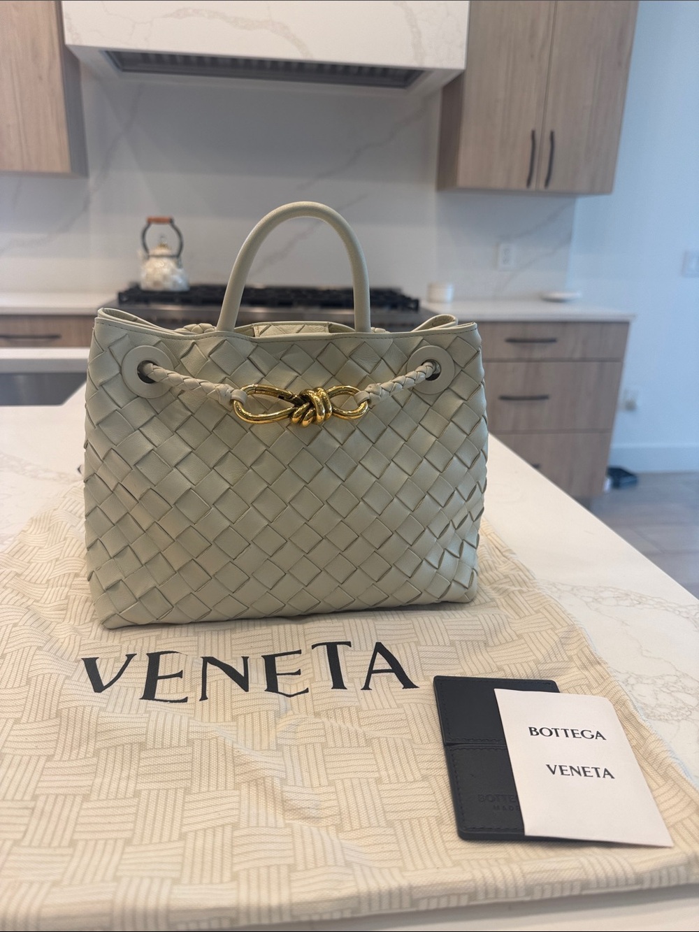 Bottega Veneta Small Andiamo Bag in color “Sea Salt” - Picture 7 of 7